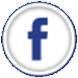 social icon footer